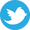 Twitter social icon